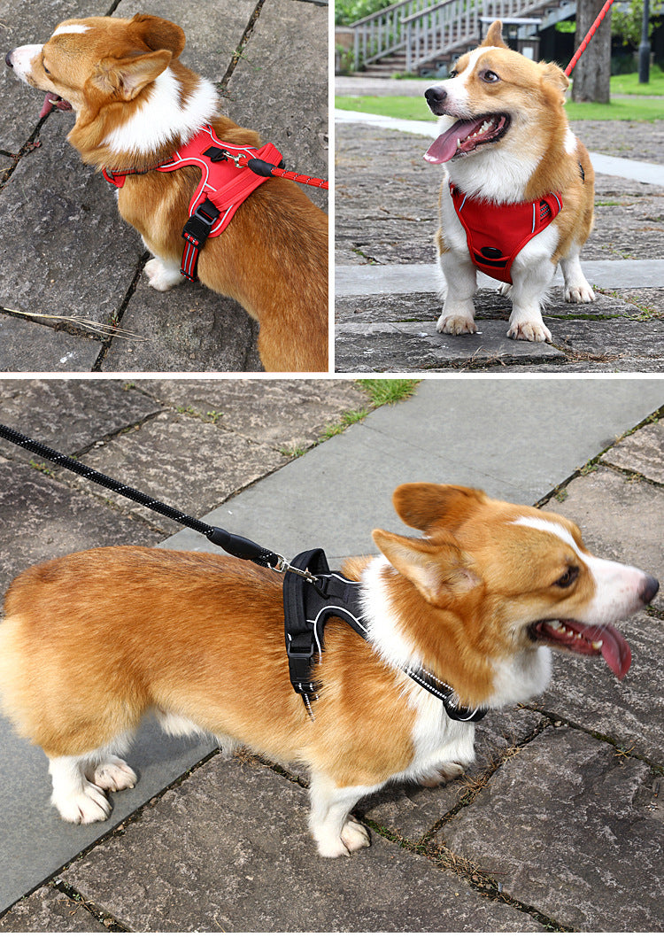 NoPull Dog Harness - Corgi wearing Vibrant Red and Classic Black harness outdoors